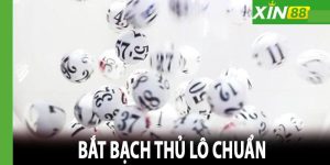 Bạch thủ lô