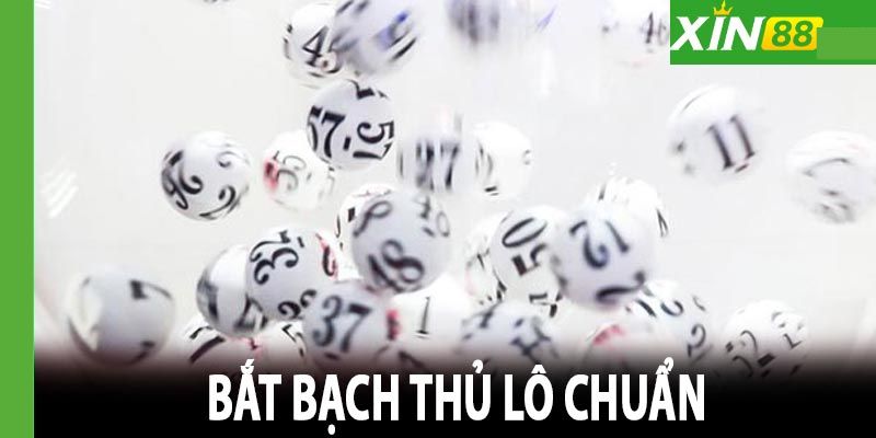 Bạch thủ lô