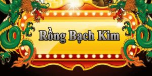 Rồng Bạch Kim Và Những Con Số Tiềm Năng Hôm Nay