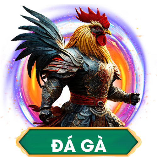 da ga xin88