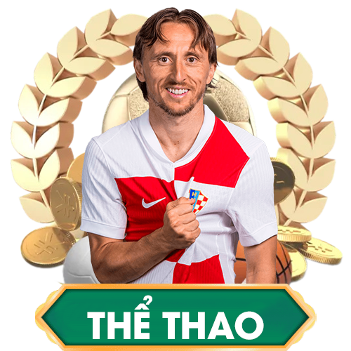 the thao xin88